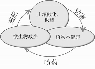 化肥不等于科學(xué)，請(qǐng)客觀評(píng)判！